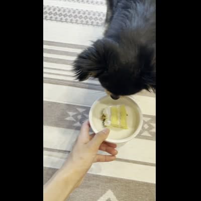 新しいおやつを初めて食べる