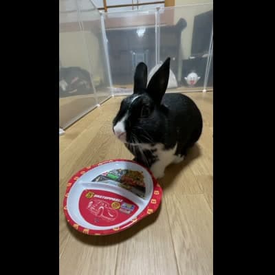 おやつ（パリパリサラダ）を食べているところ