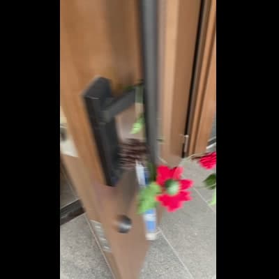 飼い主が帰宅して駆け寄る